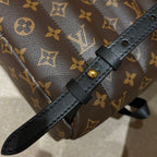 Louis Vuitton Palm Springs Small Backpack