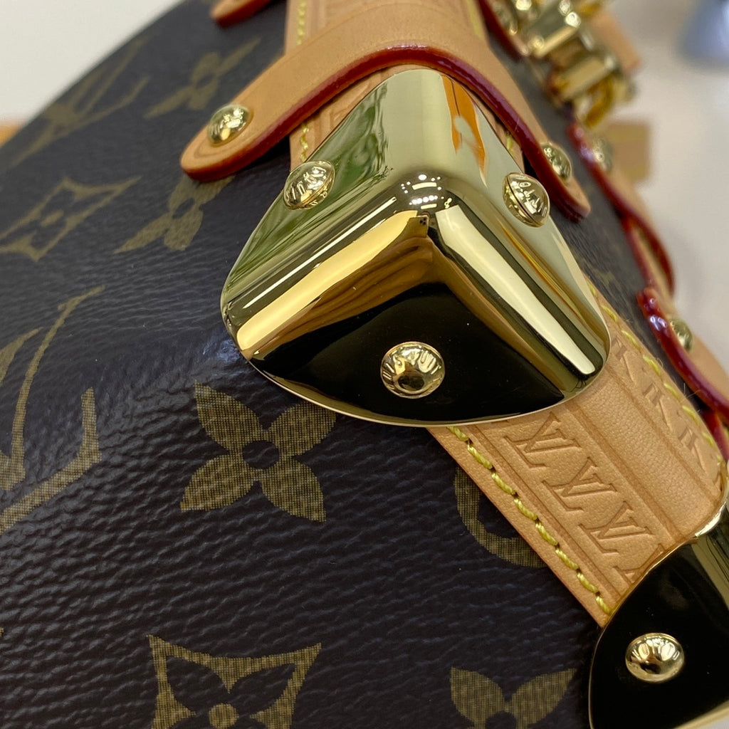 Louis Vuitton Side Trunk Mini Soft Box