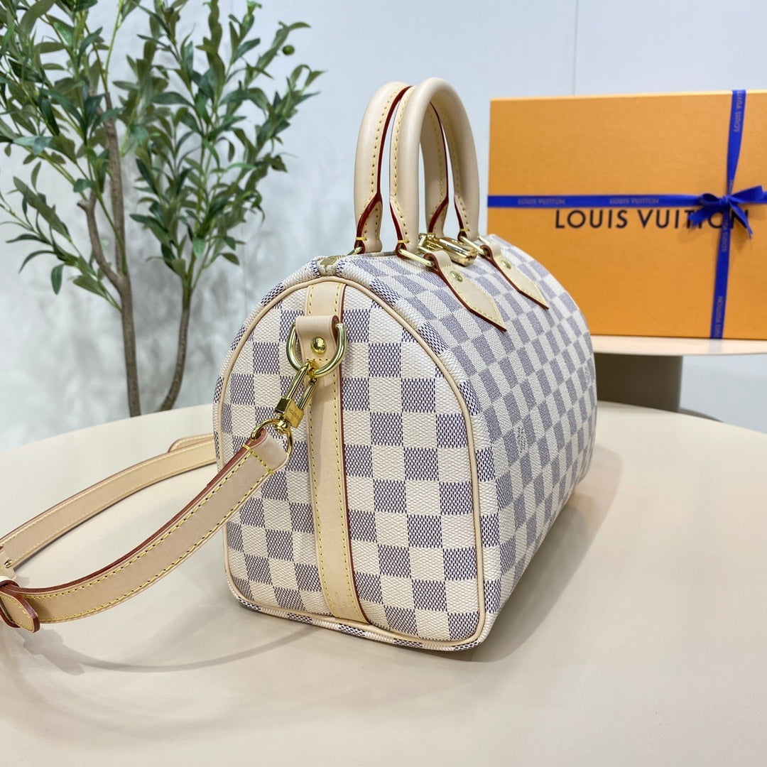 Louis Vuitton Speedy 25 Handbag