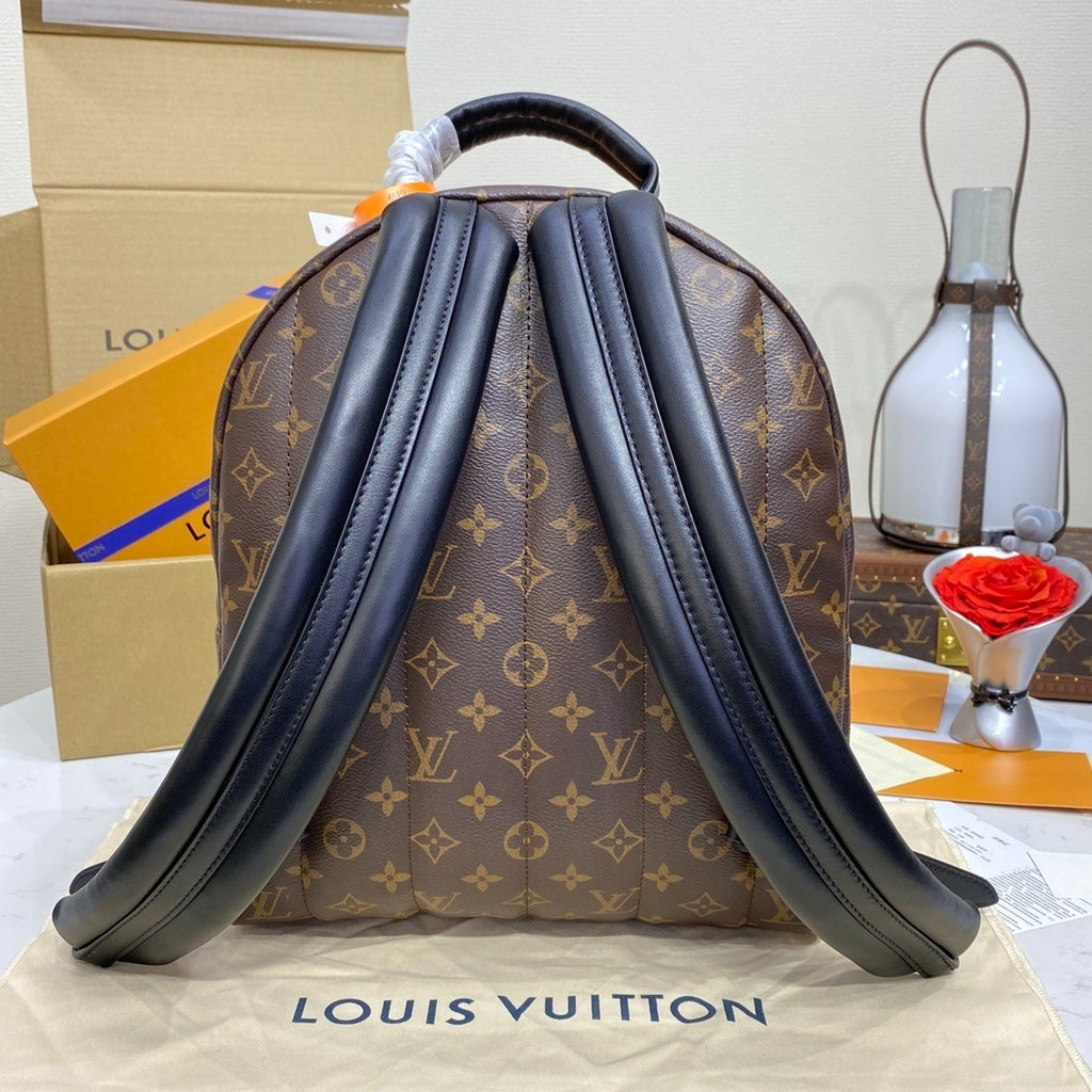 Louis Vuitton Cruise Backpack Medium