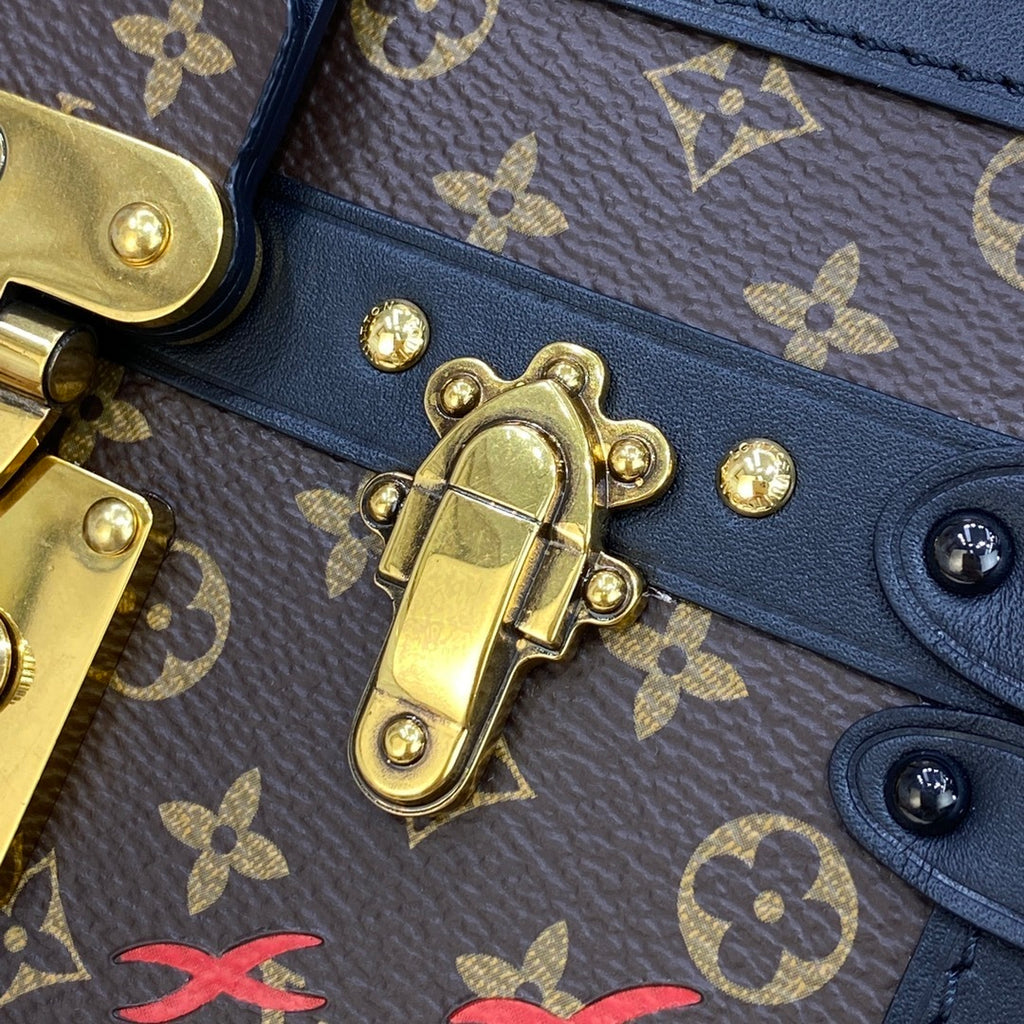 Louis Vuitton Petite Malle Box Crossbody Bag