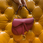Christian Dior Saddle Embroidered Handbag