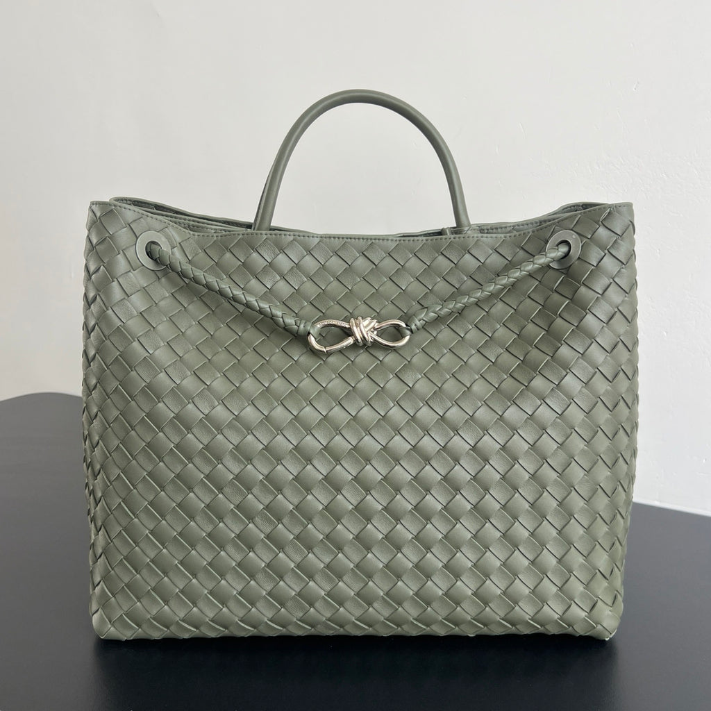 Bottega Veneta Andiamo Handbag