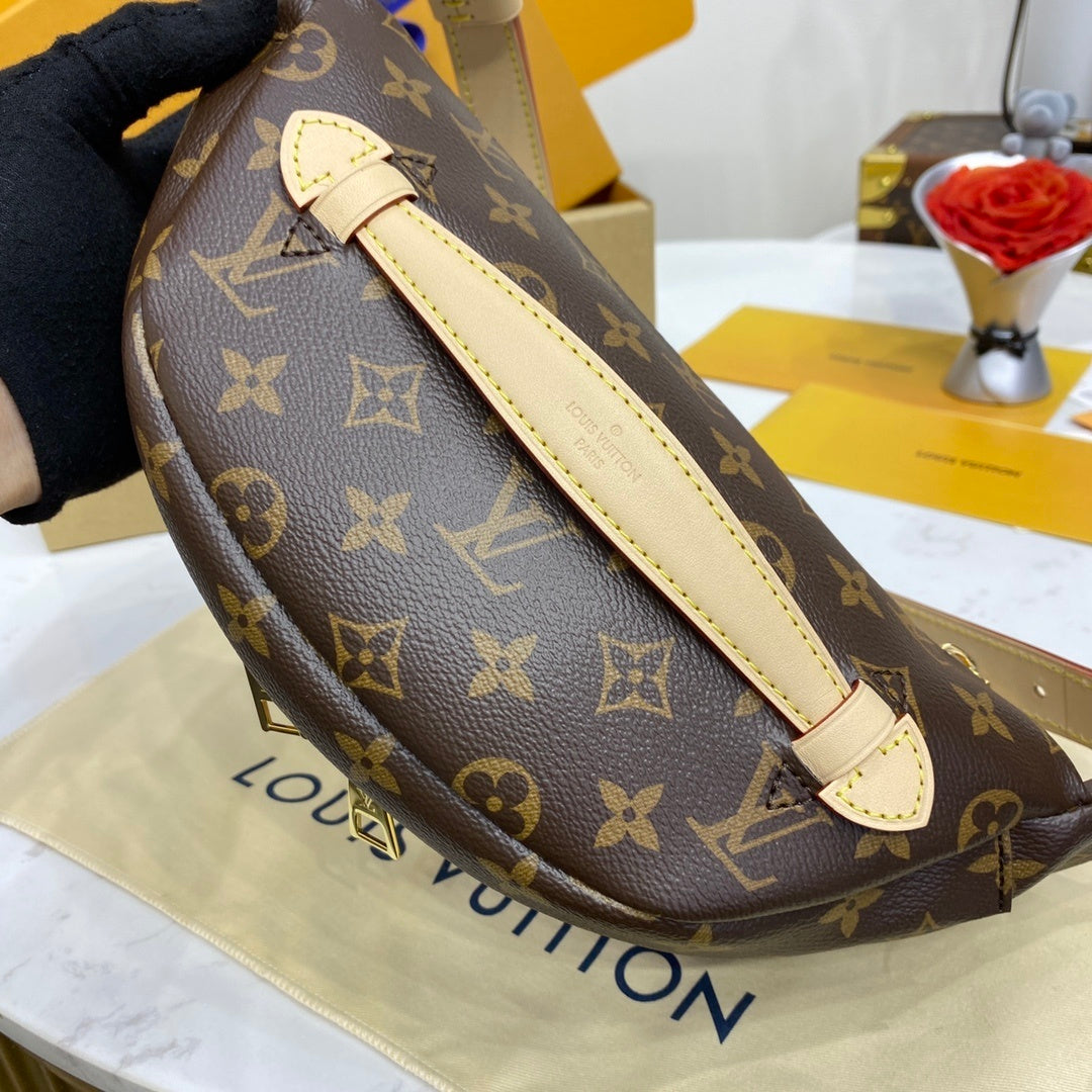 Louis Vuitton Bumbag / Waist Bag