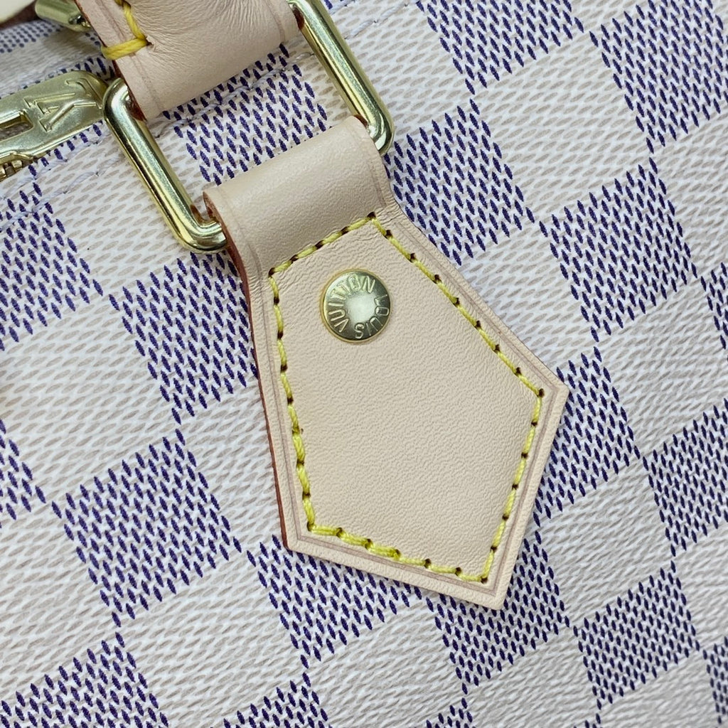 Louis Vuitton Speedy 25 Handbag