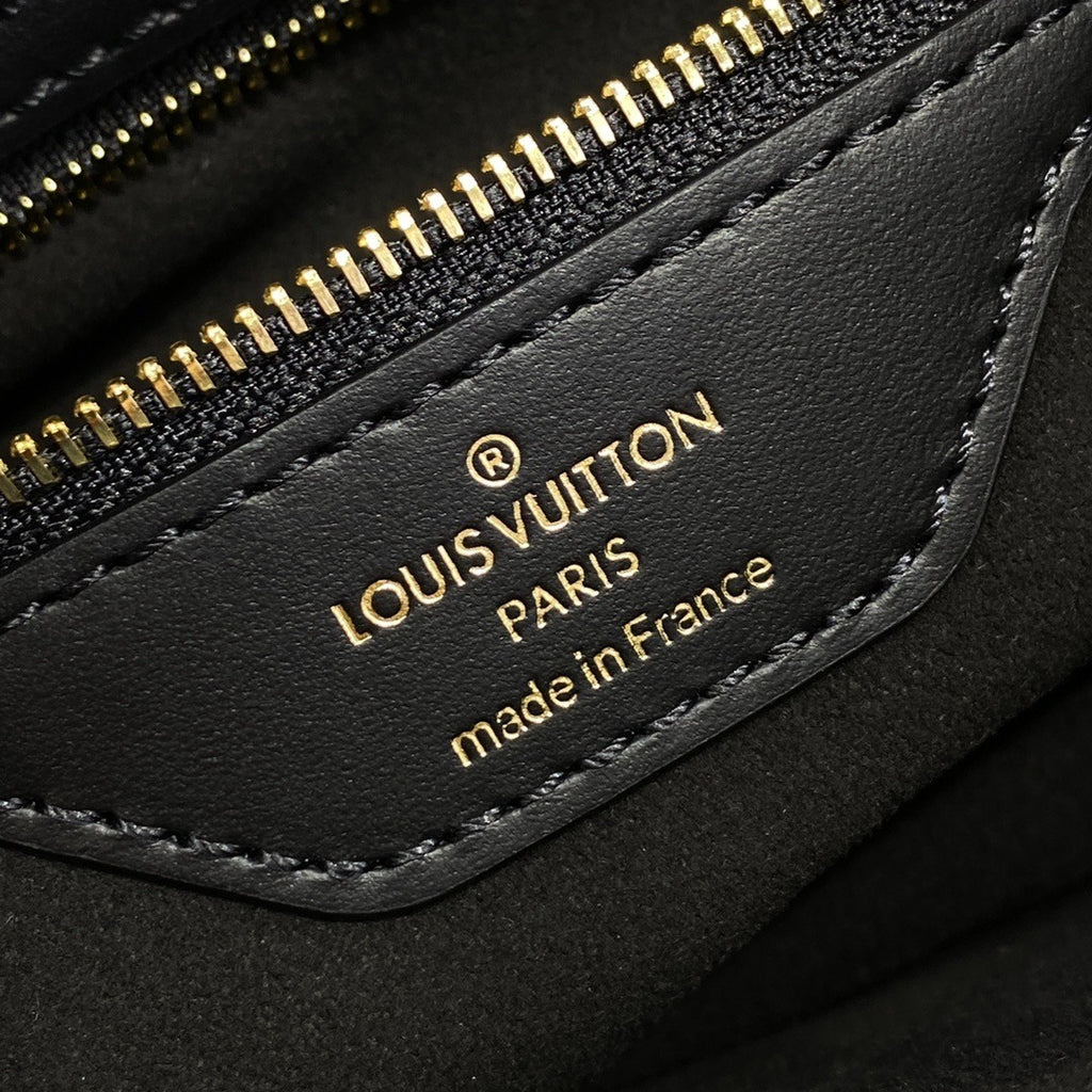 Louis Vuitton LV Twinny Handbag
