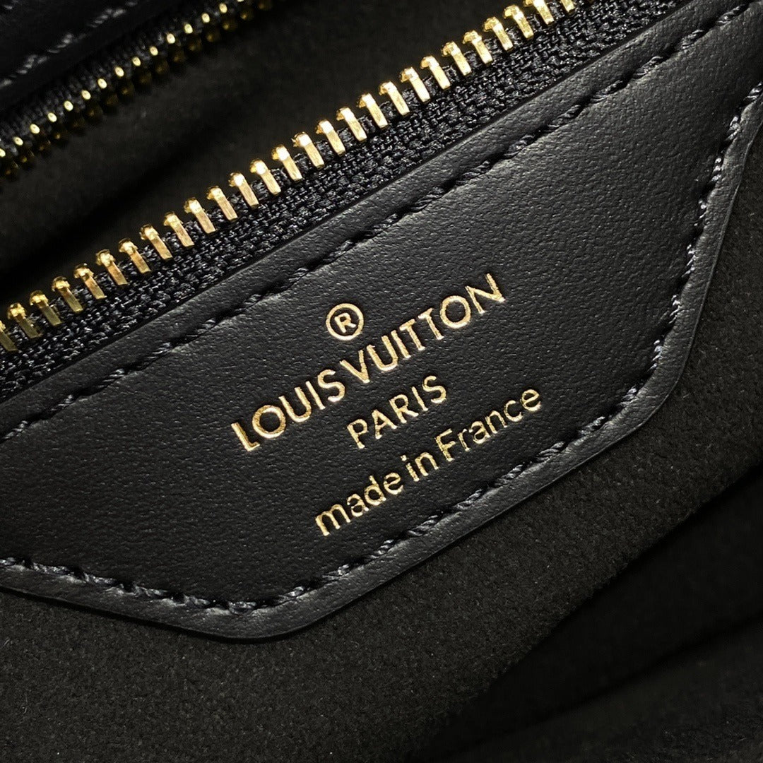 Louis Vuitton LV Twinny Handbag