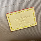 Louis Vuitton Cluny Mini Handbag