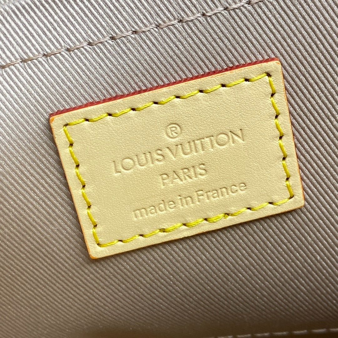 Louis Vuitton Cluny Mini Handbag