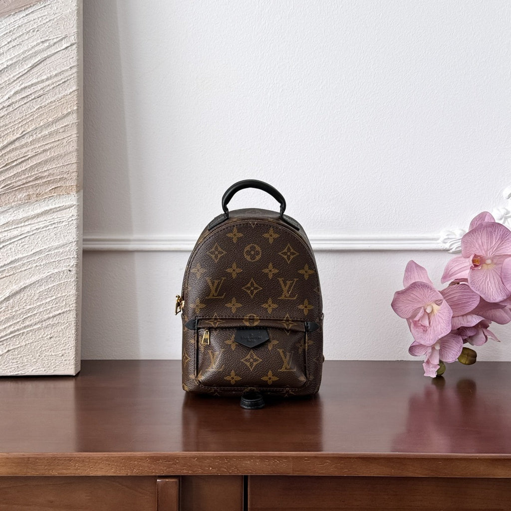 Louis Vuitton Mini Backpack