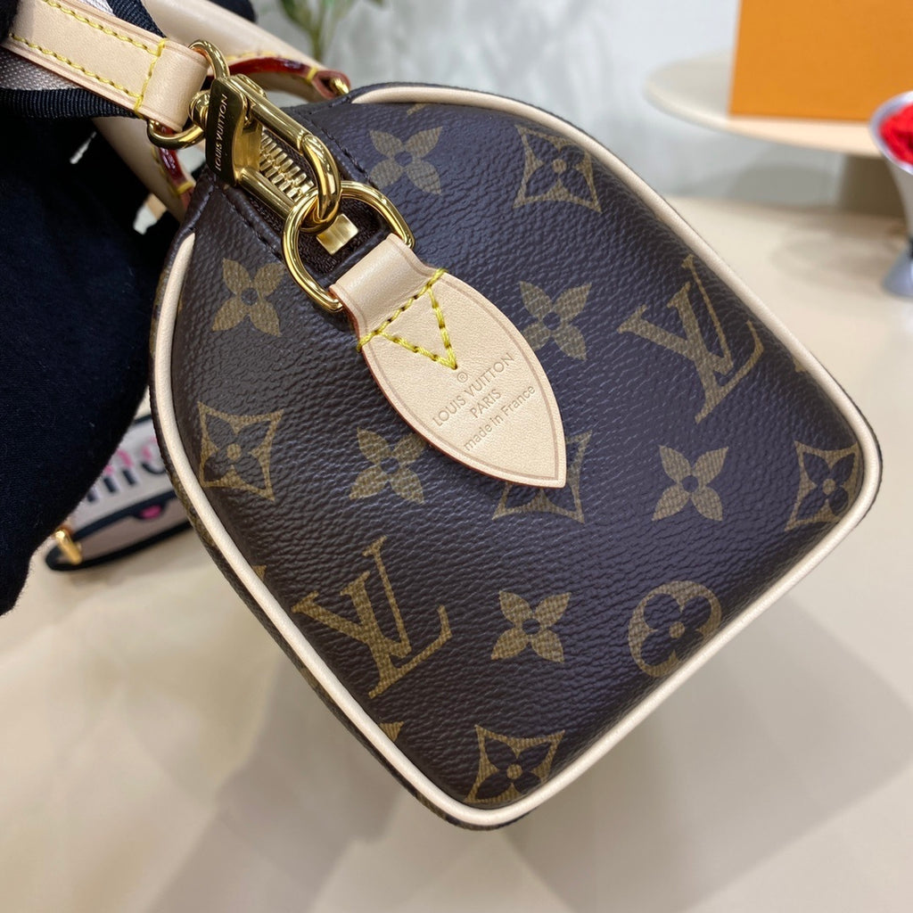 Louis Vuitton Speedy 20 Handbag