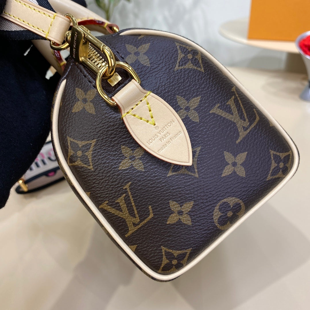 Louis Vuitton Speedy 20 Handbag