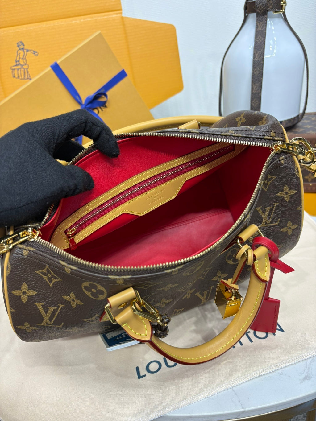 Louis Vuitton Speedy Soft 30 Crafty