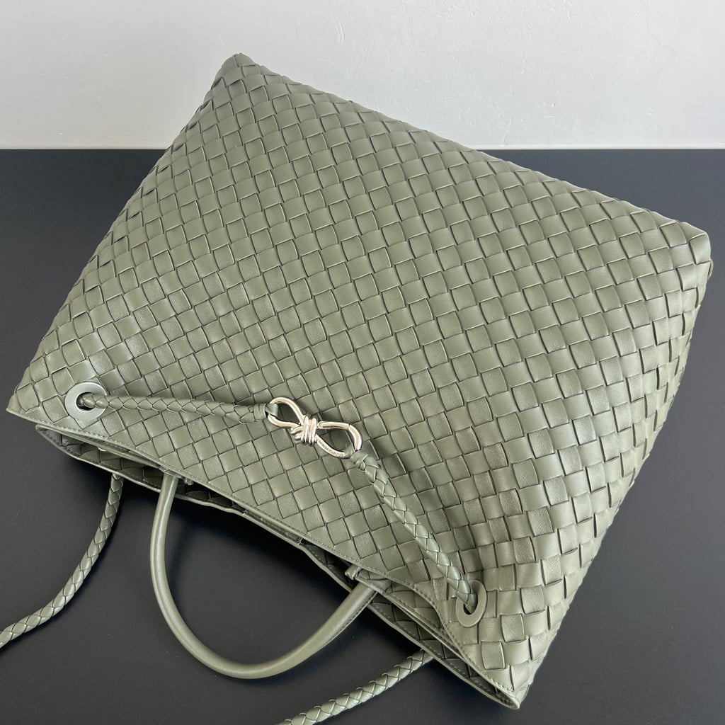 Bottega Veneta Andiamo Handbag
