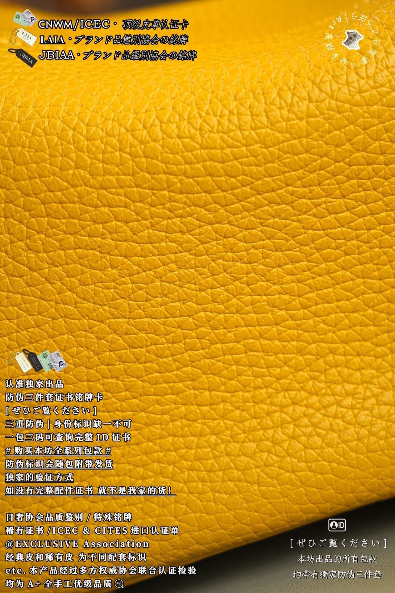 Hermès Lindy Mini 19