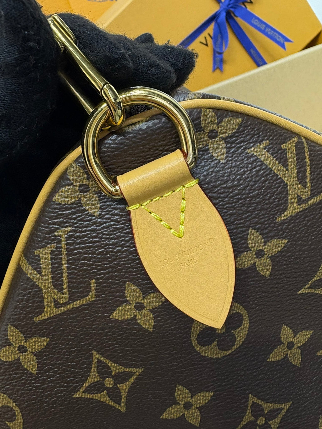 Louis Vuitton Speedy Soft 30 Crafty