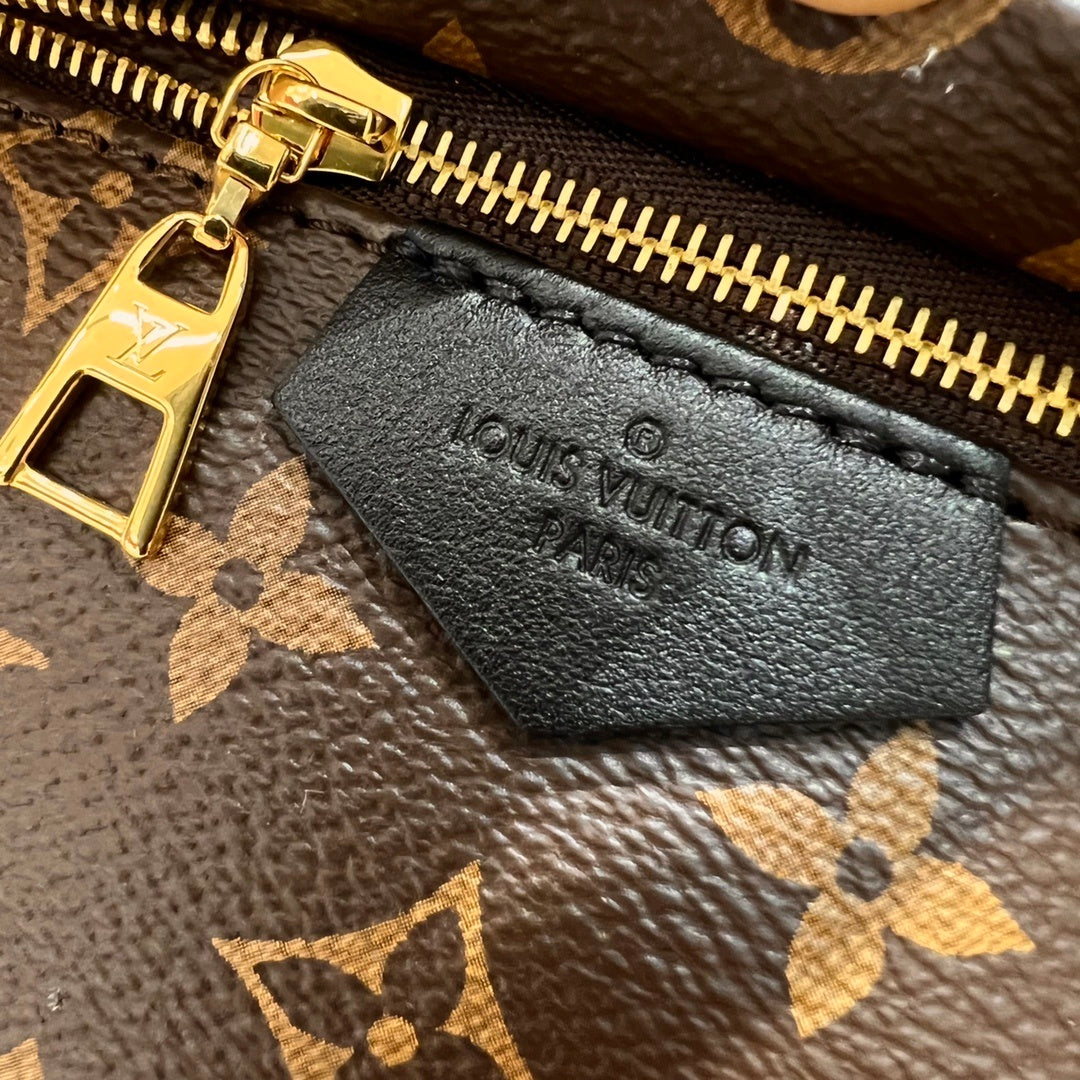 Louis Vuitton Palm Springs Small Backpack