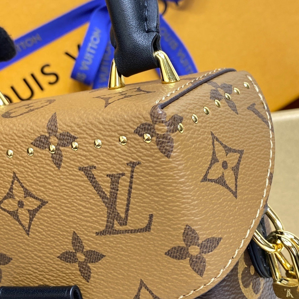 Louis Vuitton Camera Box Handbag