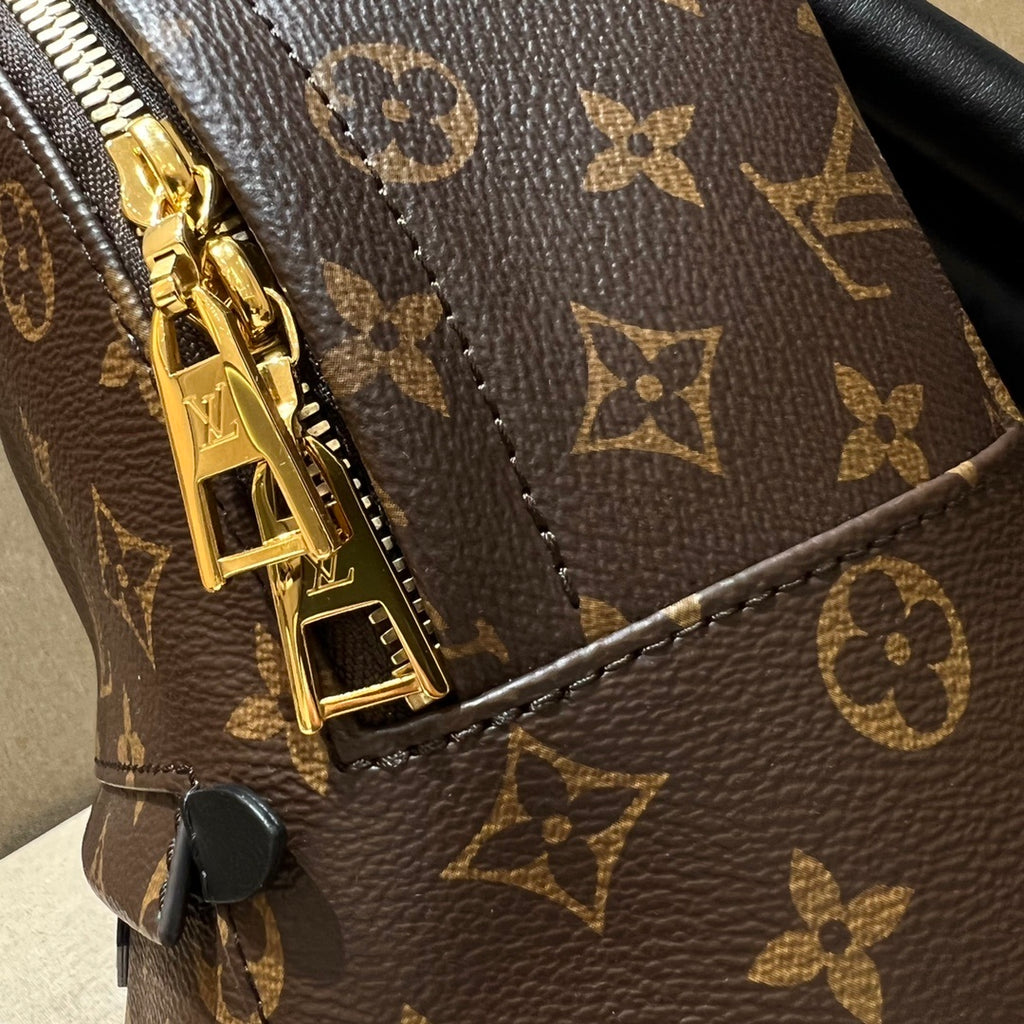 Louis Vuitton Palm Springs Small Backpack