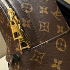 Louis Vuitton Palm Springs Small Backpack