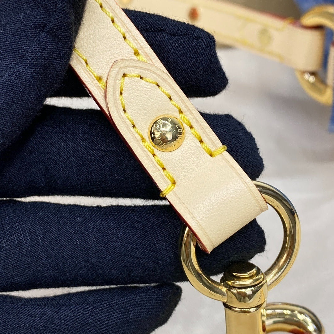 Louis Vuitton Sunset Handbag