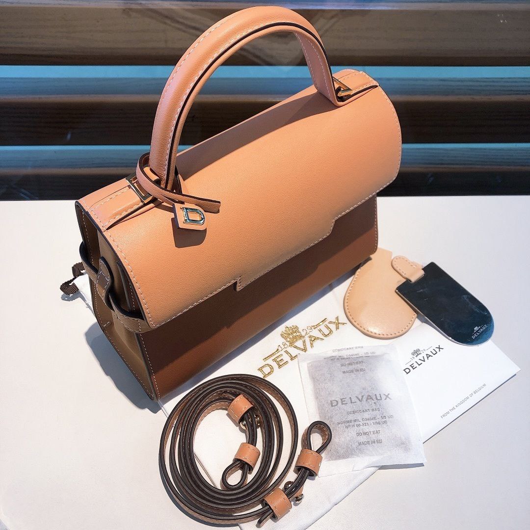 Delvaux Tempete Swift
