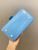 Delvaux Brillant MM L'Humour Bag