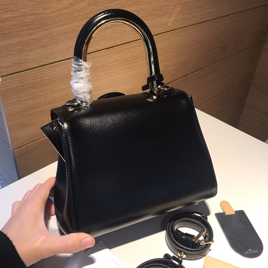 Delvaux Brillant Mini Surpique Bag