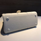 Delvaux Brillant Crispy Bag