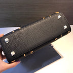 Delvaux Brillant Crispy Bag