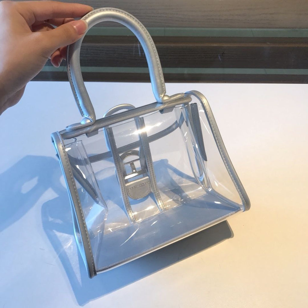 Delvaux X-Ray Bag