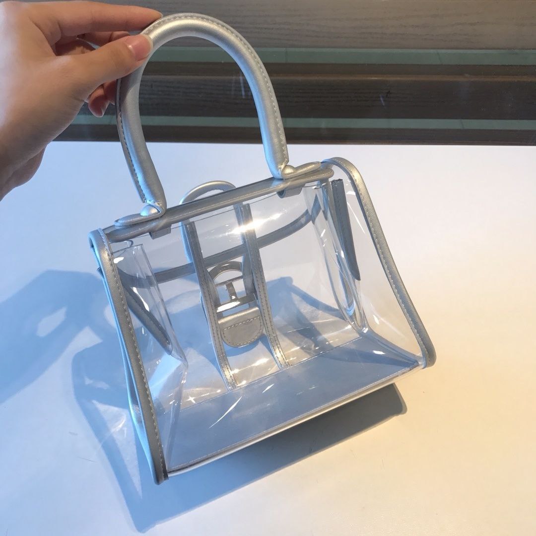 Delvaux X-Ray Bag