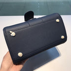 Delvaux Brillant Togo Handbag