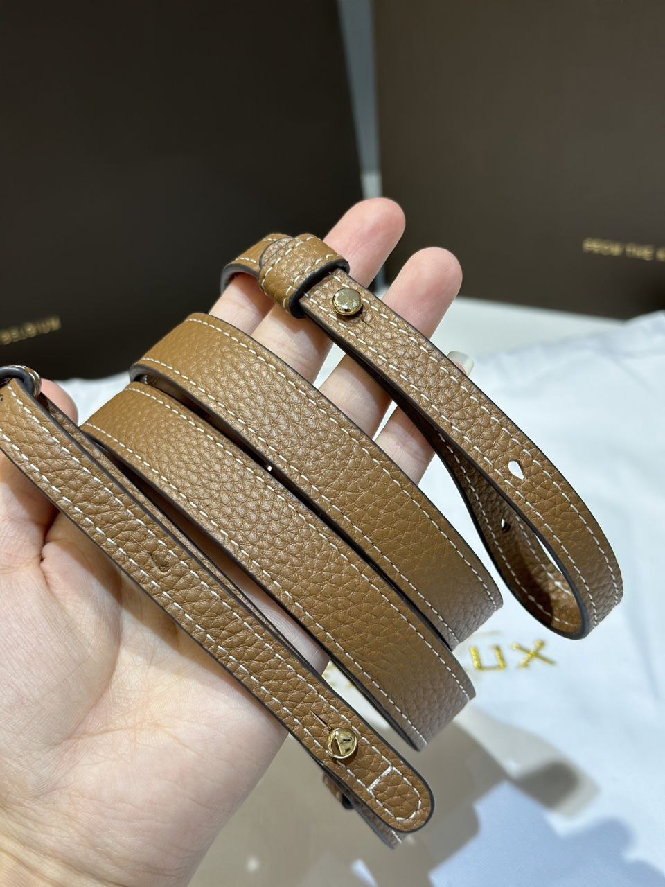 Delvaux Brillant Togo Handbag