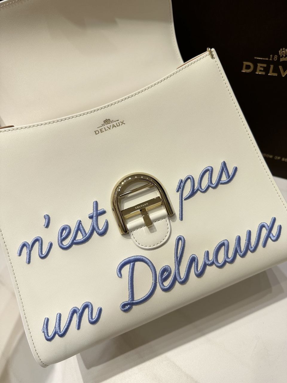 Delvaux Brillant L'Humour MM Bag