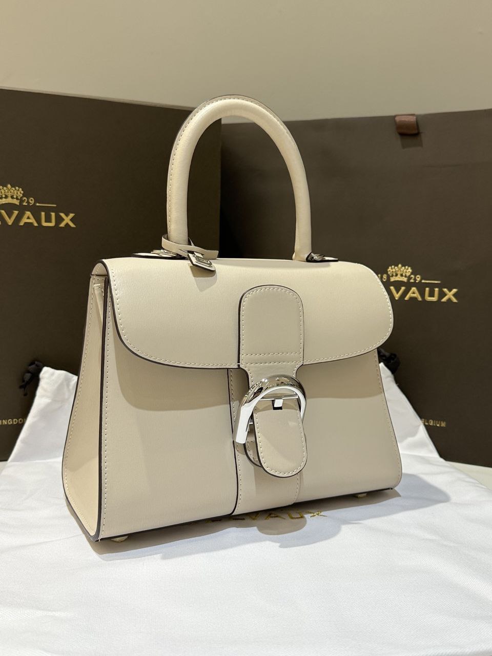 Delvaux Brillant PP Handbag
