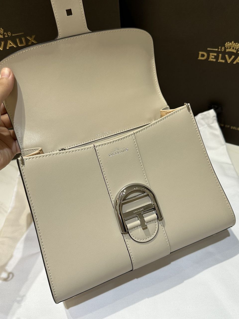 Delvaux Brillant PP Handbag