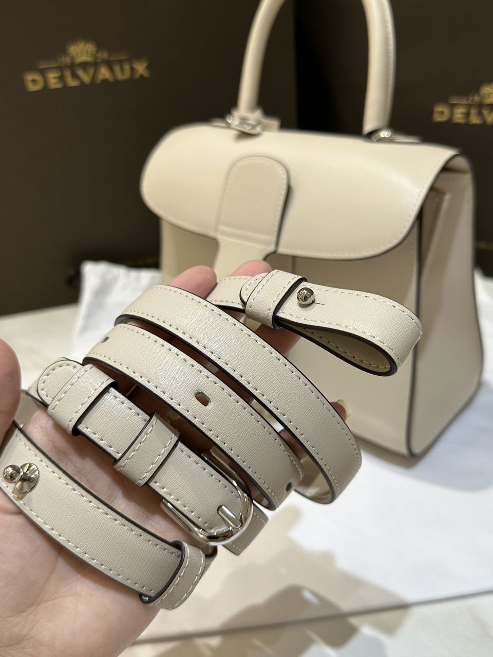 Delvaux Brillant PP Handbag