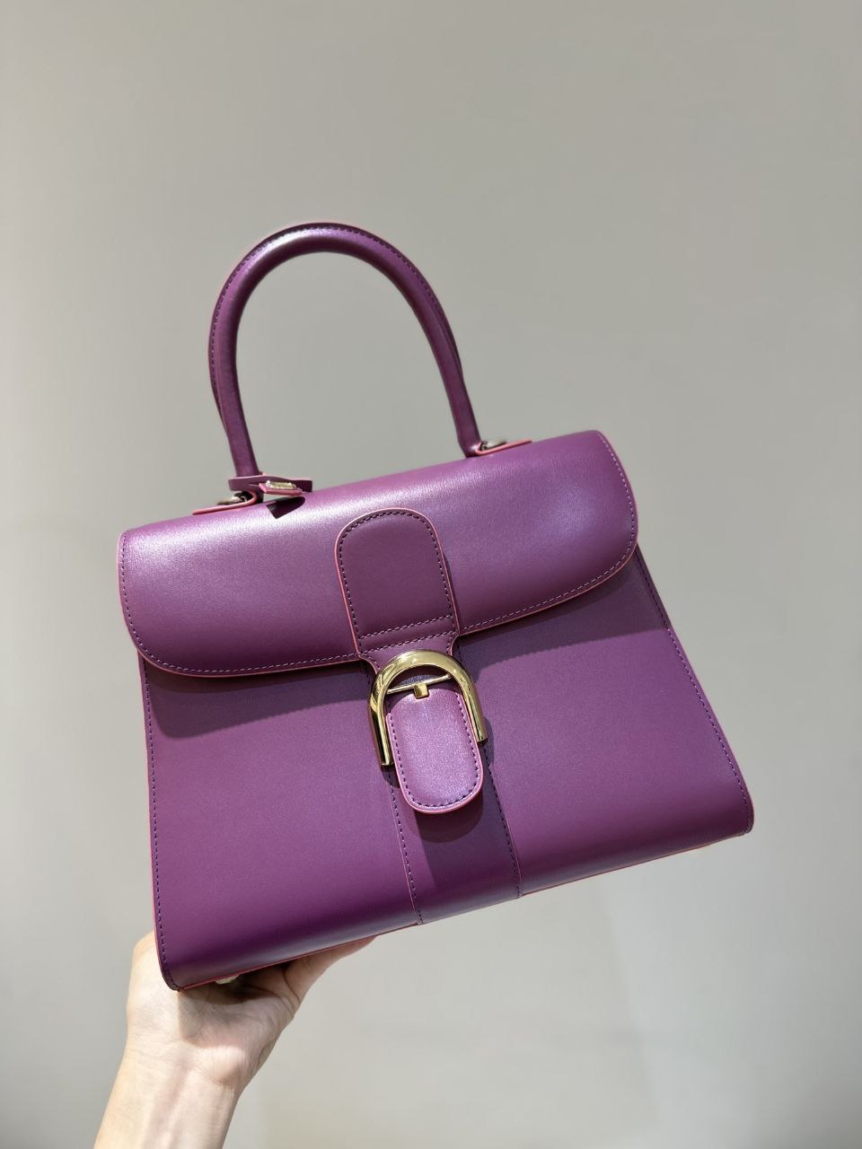 Delvaux Brillant MM Handbag