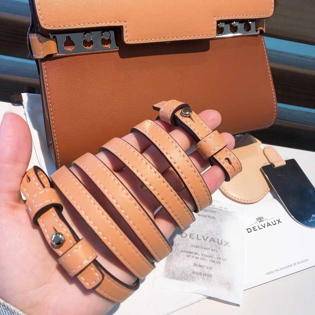 Delvaux Tempete Swift