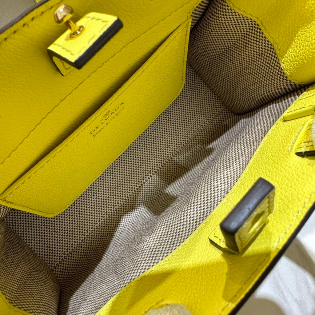 Delvaux Tempete Crush Handbag