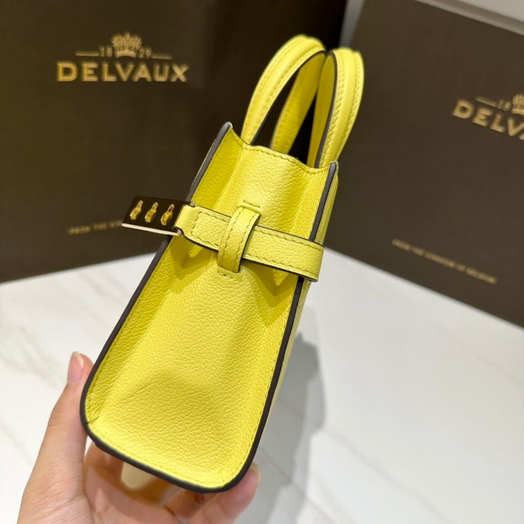 Delvaux Tempete Crush Handbag