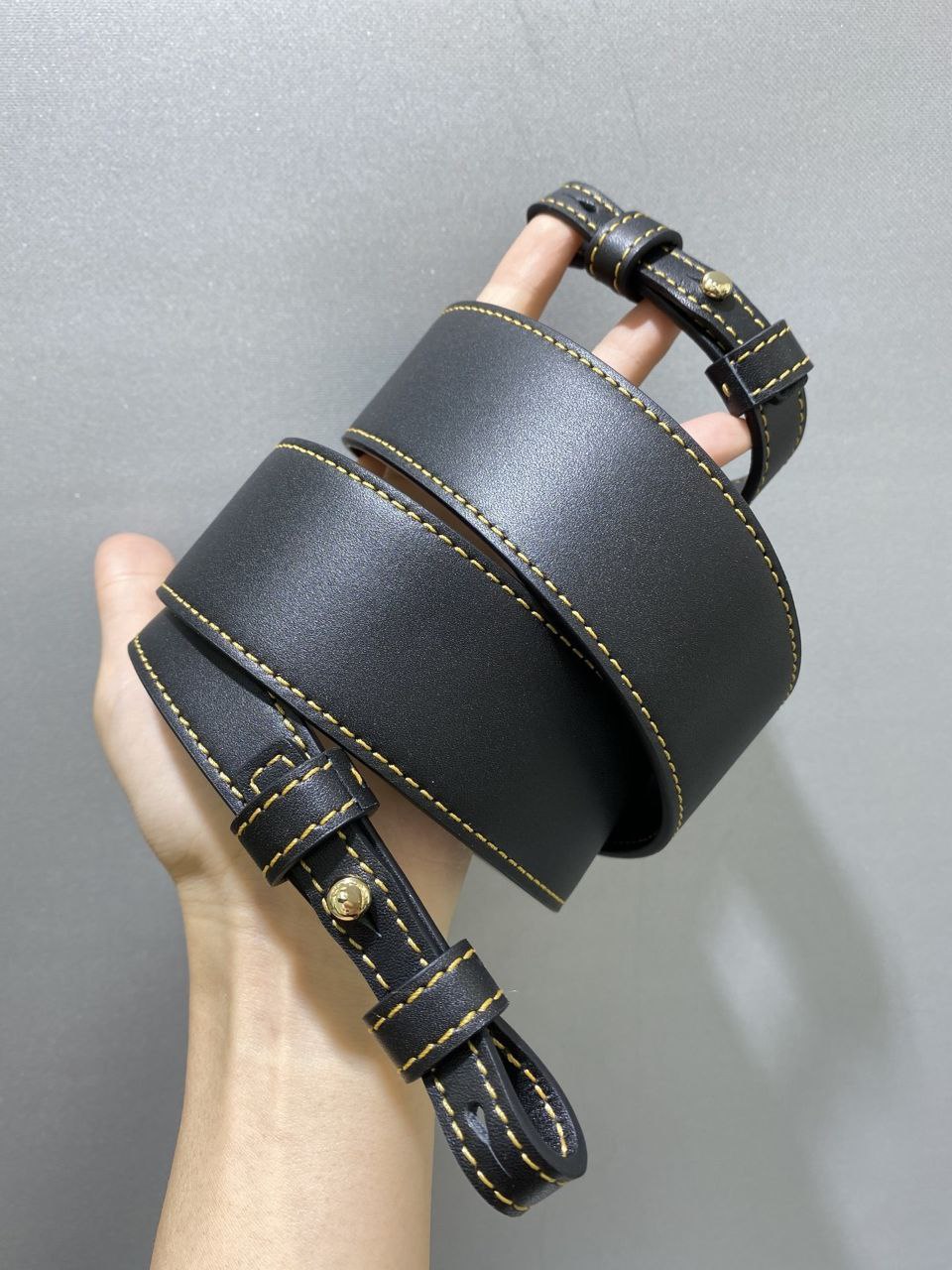 Delvaux Cool Box Bag