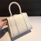 Delvaux Brillant Crispy Bag