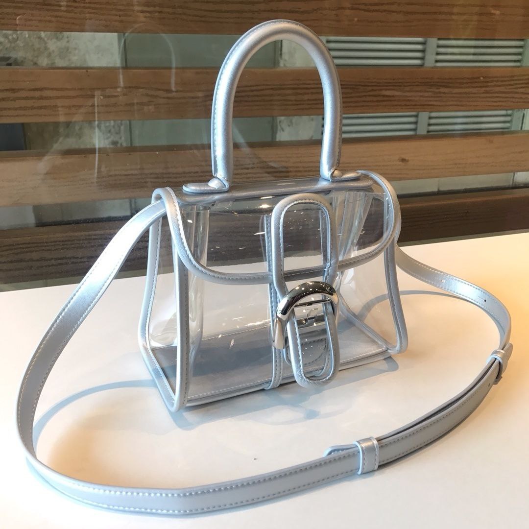 Delvaux X-Ray Bag
