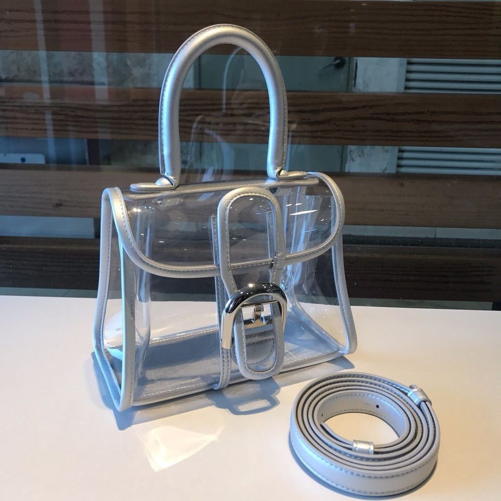 Delvaux X-Ray Bag
