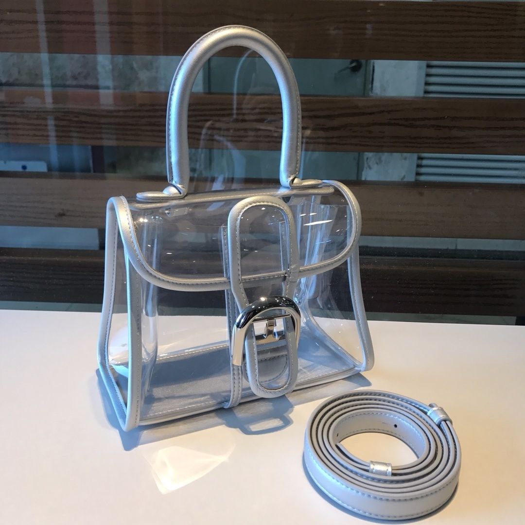 Delvaux X-Ray Bag