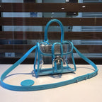 Delvaux X-Ray Bag