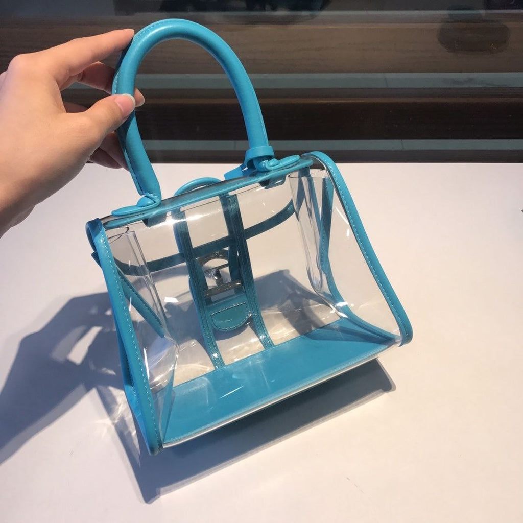 Delvaux X-Ray Bag