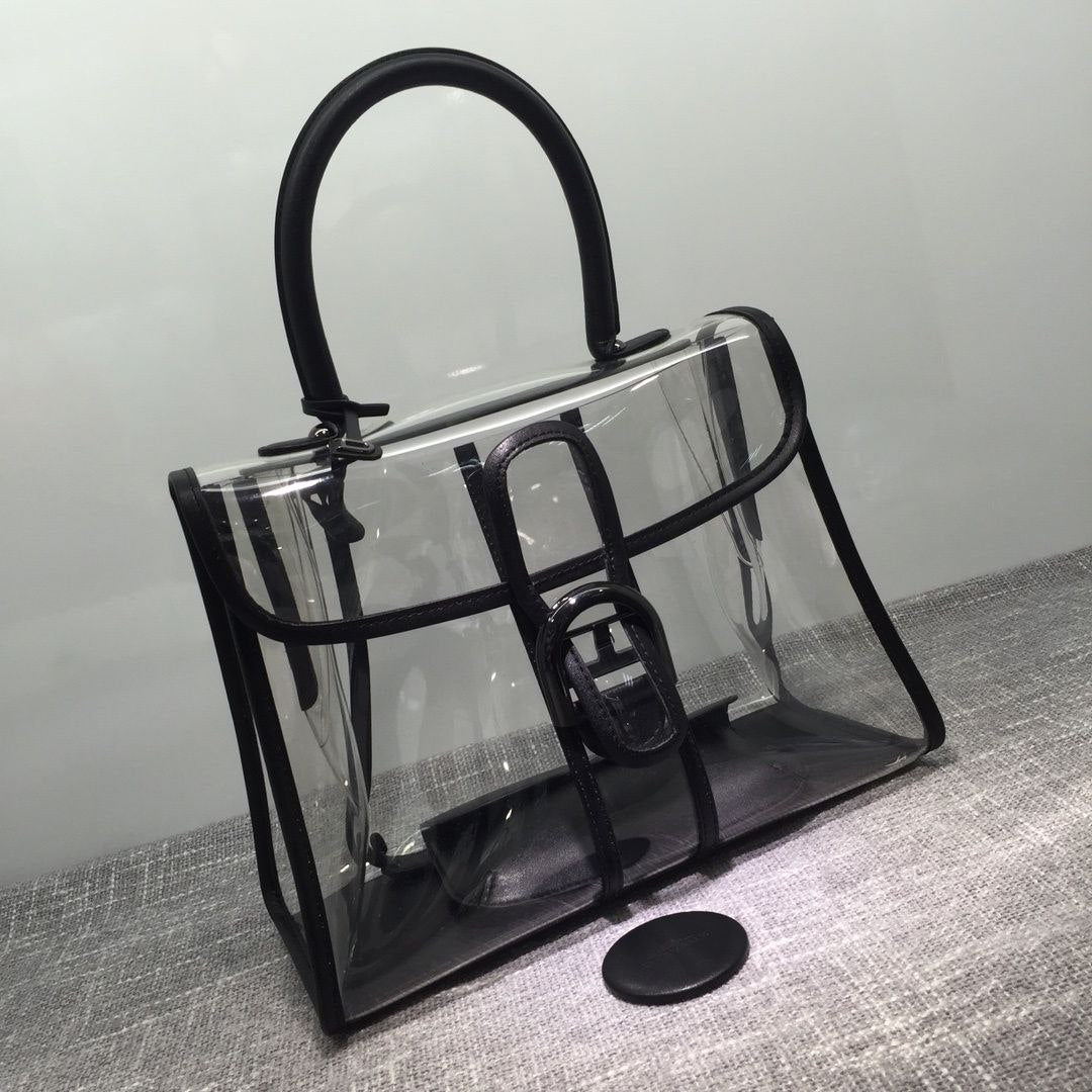 Delvaux X-Ray Bag
